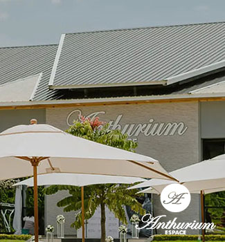 image-mise-en-avant-anthurium-espace